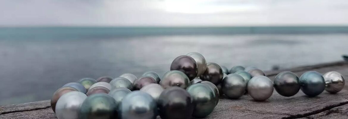 SAB Tahitian Black Pearls Moorea