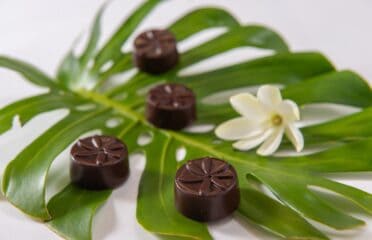La Chocolaterie by M.