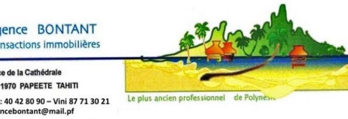 Agence immobilière Bontant 