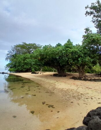Résidence Apaura – Moorea