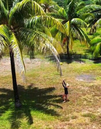 Résidence Apaura – Moorea