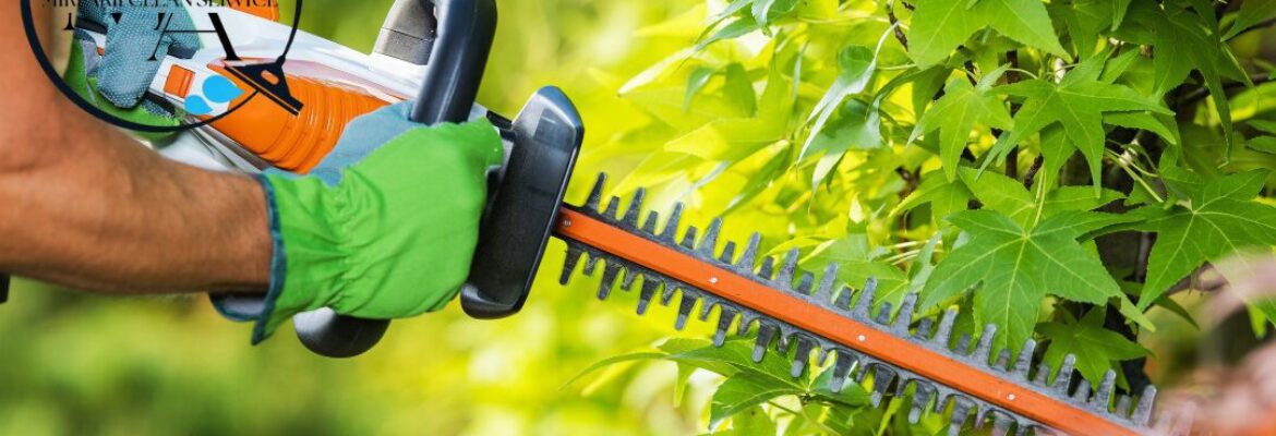 Miri’Arii Service – Jardinage