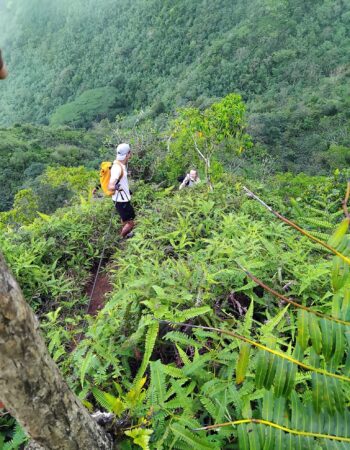 Moorea Eco Adventure 