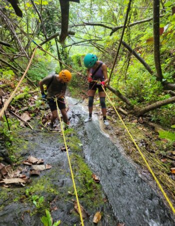 Moorea Eco Adventure 