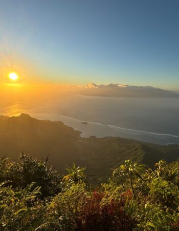Moorea Eco Adventure 