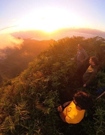 Moorea Eco Adventure 