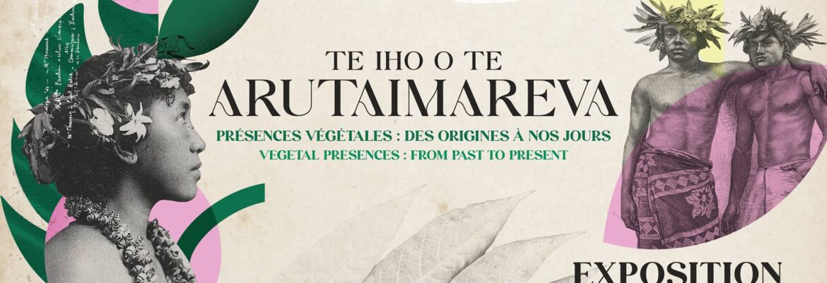 Le musée de Tahiti et des Îles – Te Fare Ia’Manaha
