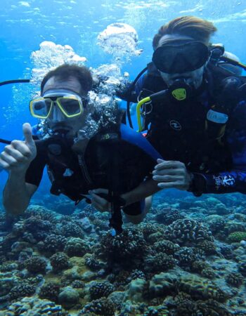 Raie Manta Diving – Tikehau