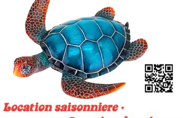 Fare HONU Moorea 