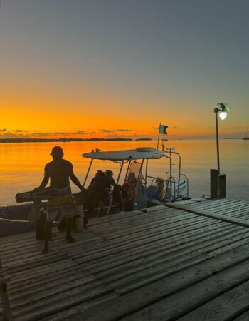 Raie Manta Diving – Tikehau