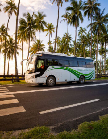 Moorea Mahana Tours