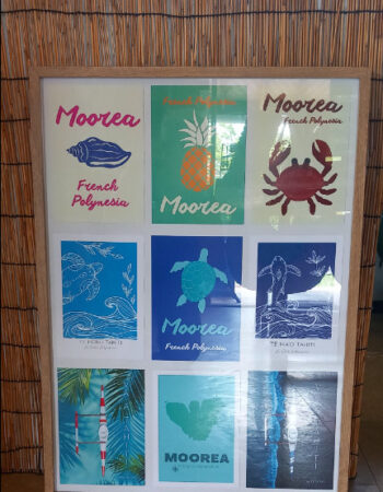 Boutique Blue Cabana – Moorea