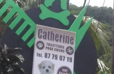 TAHITI TOILETTAGE CANIN