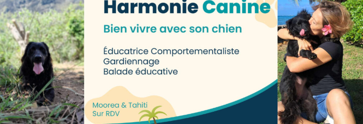 Harmonie Canine Moorea
