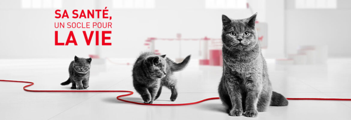 Royal Canin Tahiti