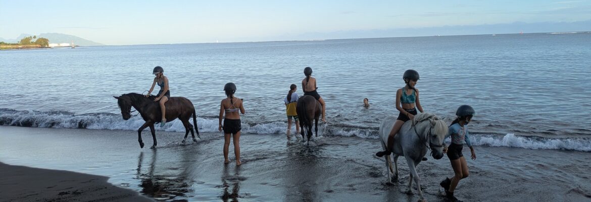 Club Equestre de Tahiti