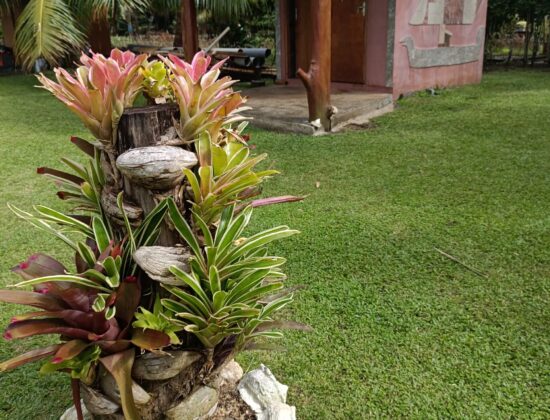 Pension VAI-TEHANA